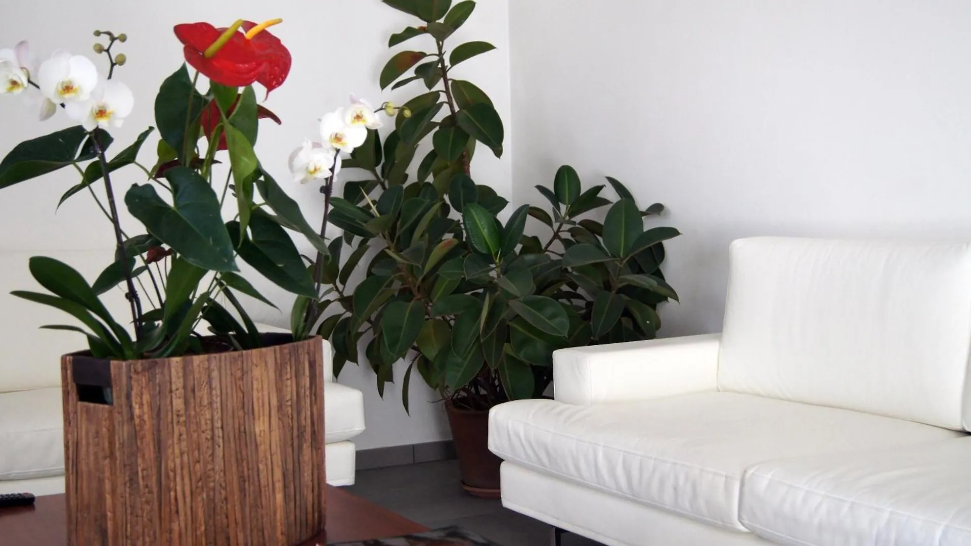 Hotel Paris Mestre